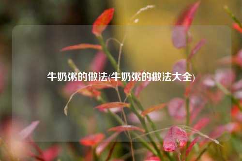 牛奶粥的做法(牛奶粥的做法大全)