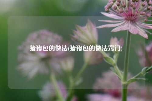 猪猪包的做法(猪猪包的做法窍门)
