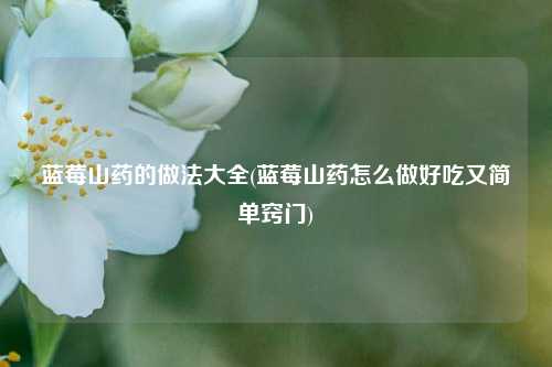 蓝莓山药的做法大全(蓝莓山药怎么做好吃又简单窍门)