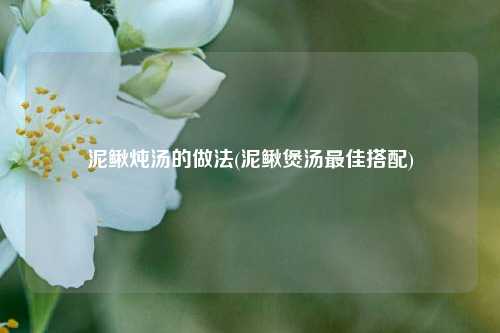 泥鳅炖汤的做法(泥鳅煲汤最佳搭配)