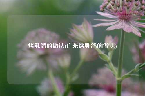 烤乳鸽的做法(广东烤乳鸽的做法)