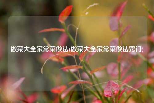 做菜大全家常菜做法(做菜大全家常菜做法窍门)