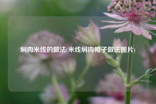 焖肉米线的做法(米线焖肉帽子做法图片)