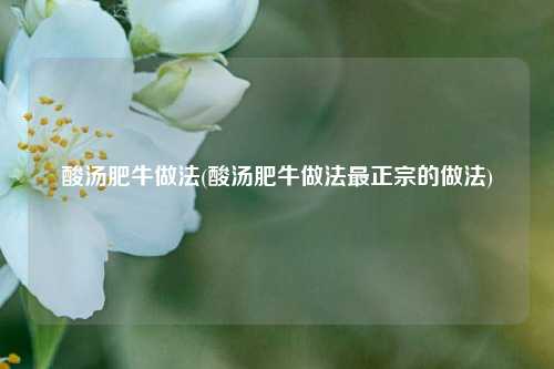 酸汤肥牛做法(酸汤肥牛做法最正宗的做法)