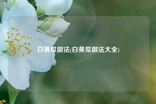 白黄瓜做法(白黄瓜做法大全)