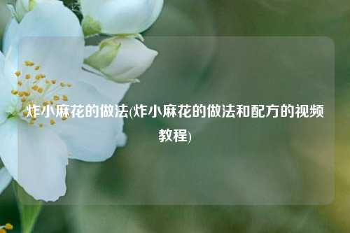 炸小麻花的做法(炸小麻花的做法和配方的视频教程)
