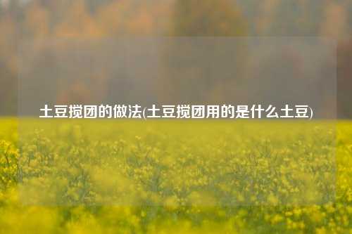 土豆搅团的做法(土豆搅团用的是什么土豆)