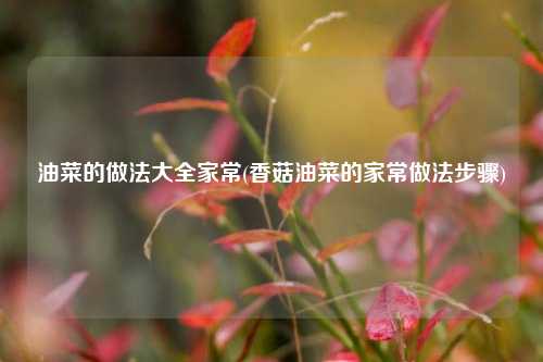 油菜的做法大全家常(香菇油菜的家常做法步骤)
